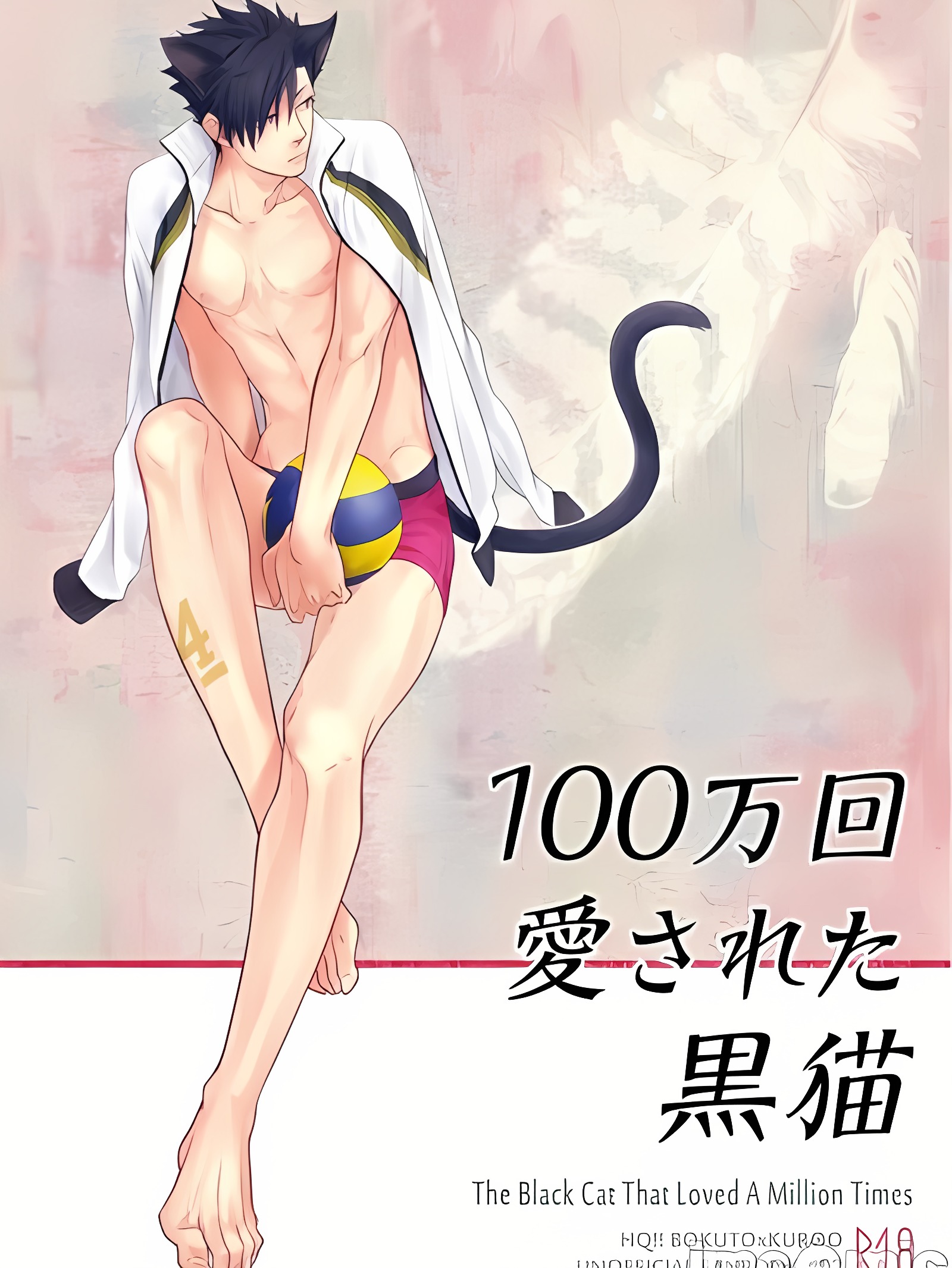 爱了一百万次的黑猫